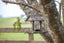 242 Waring Road, Taupiri, Taupiri - Carousel 36