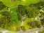 271 Apotu Road, Kamo - Carousel 3