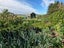 282 Back Track, Rakaia - Carousel 22