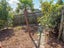 8 Torsby Road, Coopers Beach, Coopers Beach - Carousel 30