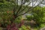 9/31 Green Lane East, Remuera, Auckland - Carousel 18