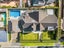 2 Lucerne Road, Remuera, Auckland - Carousel 20