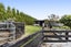484 Corbett Road, Lepperton, New Plymouth - Carousel 34
