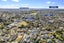 296 Hillsborough Road, Hillsborough, Auckland - Carousel 24
