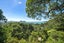 49 Mount Avenue, Pauanui, Thames-Coromandel, Waikato - Carousel 22