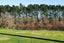 2221 River Road, Horsham Downs, Hamilton - Carousel 25