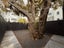 99B Webb Street, Mount Cook, Wellington - Carousel 9