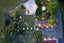 155 Paetawa Road, Peka Peka, Waikanae - Carousel 32