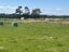 31 Woodlands Morton Mains Road, WOODLANDS, INVERCARGILL - Carousel 3