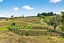 218 State Highway 12, Brynderwyn, Maungaturoto - Carousel 48