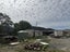 17 Para Railway Road, Koromiko - Carousel 6