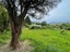 21 Wainui Valley Road, Wainui, French Farm - Carousel 3