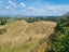 254B Pekanui Road, Puketotara, Pirongia - Carousel 3