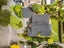 3 Cooney Place, Te Puke, Te Puke - Carousel 3