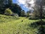 38 Ruhi Road, Dannevirke - Carousel 24