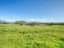 445 Lake Kaniere Road, BLUE SPUR, HOKITIKA - Carousel 6