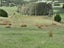 596 Waimate North Road, Kerikeri, Far North, Northland - Carousel 11
