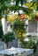 10 Wai-Iti Terrace, Burnside, Christchurch - Carousel 25