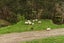 86 Te Tuhi Road, Okauia, Matamata - Carousel 13