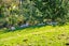 207 Fletcher Road, Waimauku, Waimauku - Carousel 26