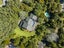212 Carter Road, Oratia, Auckland - Carousel 4