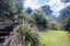 1695 Wyuna Bay Road, Wyuna Bay, Coromandel - Carousel 42