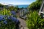25 Sutcliffe Street, Saint Clair, Dunedin - Carousel 24