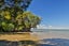 93 Wood Bay Road, Titirangi, Auckland - Carousel 41