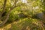 215 Olliviers Road, Linwood, Christchurch - Carousel 23