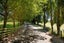 191 Staces Road, Aokautere, Aokautere - Carousel 45