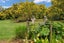 967 State Highway 14, Maungatapere, Maungatapere - Carousel 28