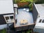 50 Hawthorn Avenue, Mornington, Dunedin - Carousel 31