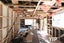 114A Newlands Road, Newlands, Wellington - Carousel 13