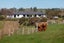 976 Old Te Aroha Road, Okauia, Matamata - Carousel 1
