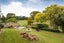 9 Belmont Place, Terrace End, Palmerston North - Carousel 3