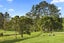275A Paparimu Road, Papakura - Carousel 29