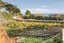 13/10 Ngaroma House Drive, Hobsonville, Auckland - Carousel 25