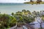 74 Queen Street, Northcote Point, Auckland - Carousel 6