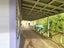 56 Pohara Valley Road, Pohara - Carousel 4