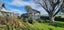 194 Horsnells Road, Morven, Waimate - Carousel 29