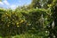 1 Renton Road, Mount Albert, Auckland - Carousel 11