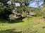 38 Ruhi Road, Dannevirke - Carousel 20