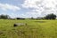 940 State Highway 1, Himatangi, Foxton - Carousel 38