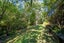 273 Middleton Road, Glenside, Wellington - Carousel 15