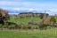 4953 Ohaupo Road, Te Awamutu, Te Awamutu - Carousel 45