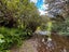 1789 State Highway 2, Kaitoke, Upper Hutt - Carousel 37