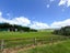 1240 Brydone Glencoe Road, Pebbly Hill, Invercargill - Carousel 20
