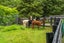 253 Whitford Road, Whitford, Manukau City, Auckland - Carousel 31