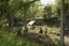 29 View Mount, Stoke, Nelson - Carousel 20