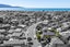 21 Campion Road, Waikanae Beach, Waikanae - Carousel 3